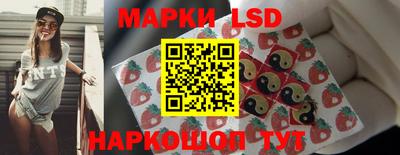 гашик Боровичи