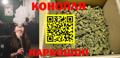 гашик Боровичи
