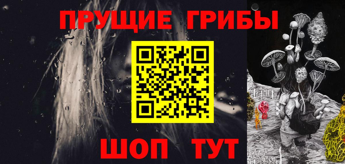 Елизово  Псилоцибиновые грибы мухоморы  Вход с VPN  Псилоцибиновые грибы Cubensis 